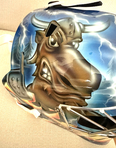 Nhl pro goalie - pro, reidic