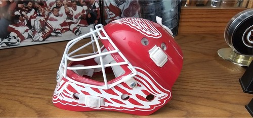 Detroit red wings - mini, goalie