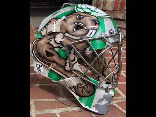 Used warwick hockey goalie - hockey,